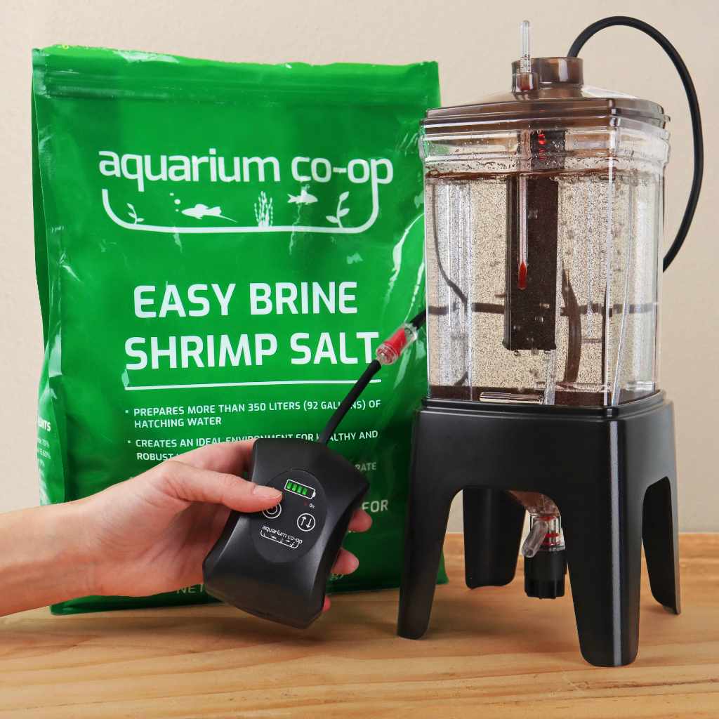 Aquarium Co-Op Breeding Supplies Aquarium Co-Op Brine Shrimp Eggs