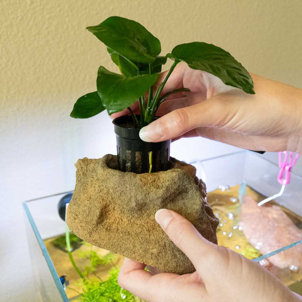 Easy Planter