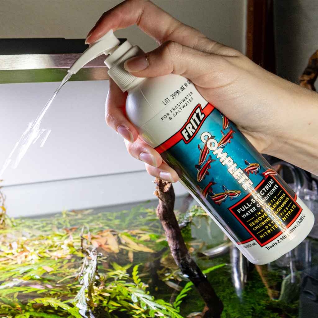 5 Tips and Tricks for Upgrading Your 10-Gallon Fish Tank – Aquarium Co-Op