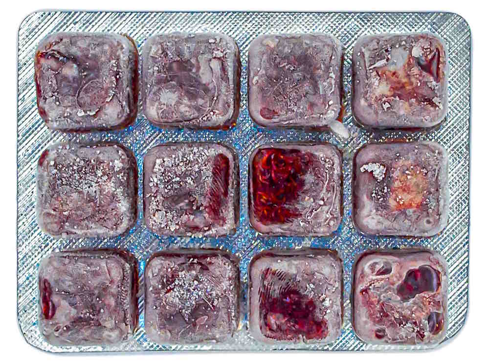 frozen bloodworm cubes