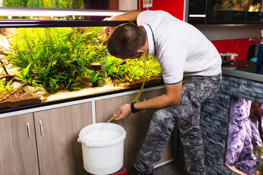 man cleaning his aquarium