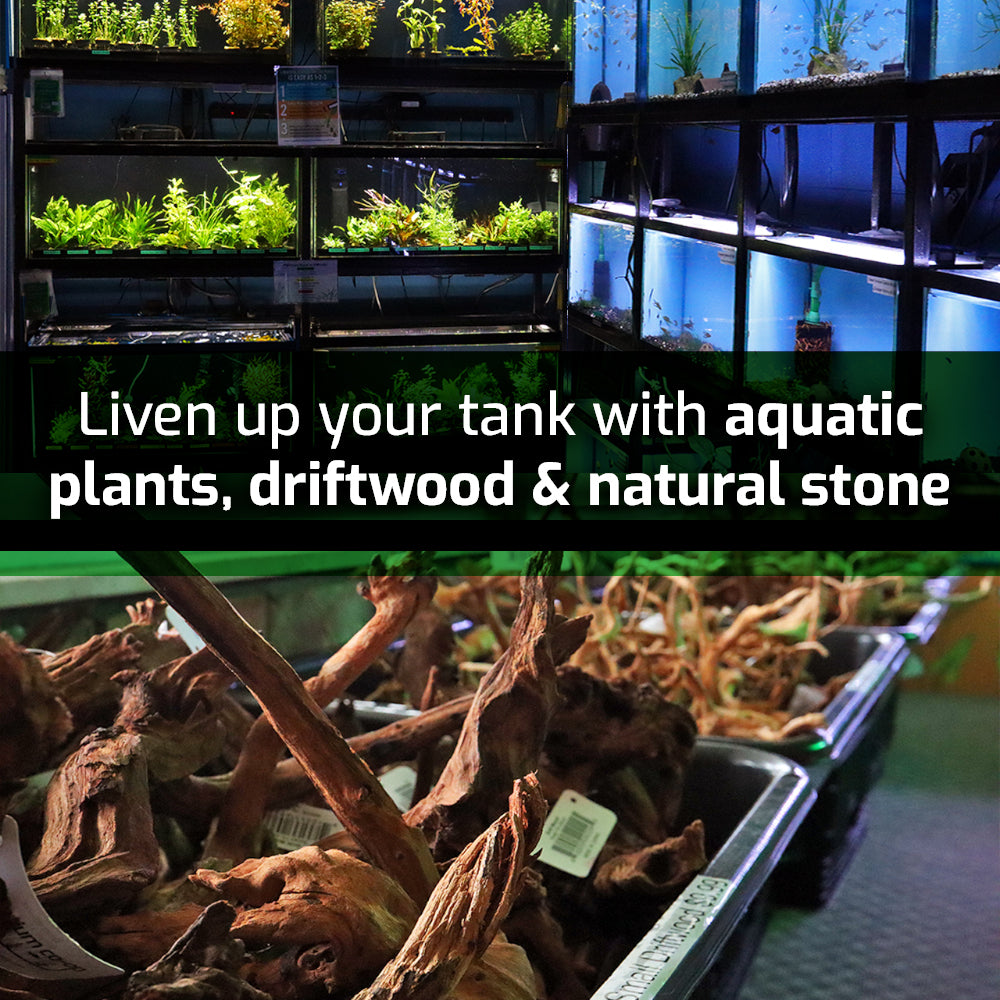 plants and hardscape graphicplants and hardscape graphic