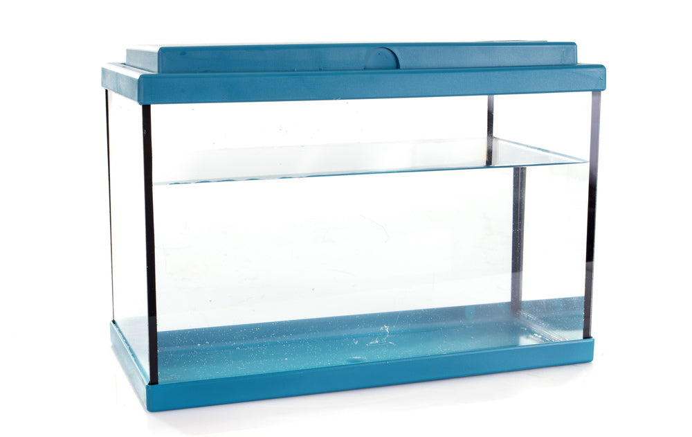 rimmed, glass aquarium