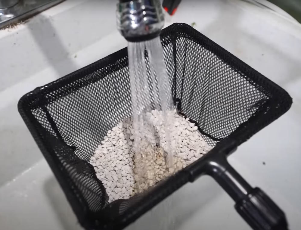 rinsing crushed coral in fish net