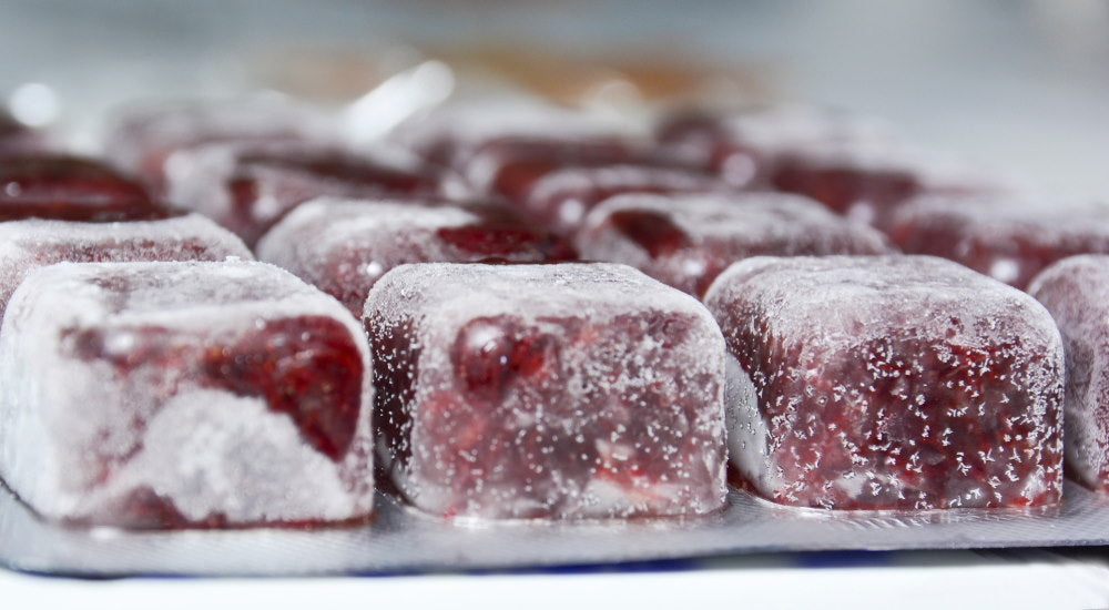 frozen bloodworms in cubes