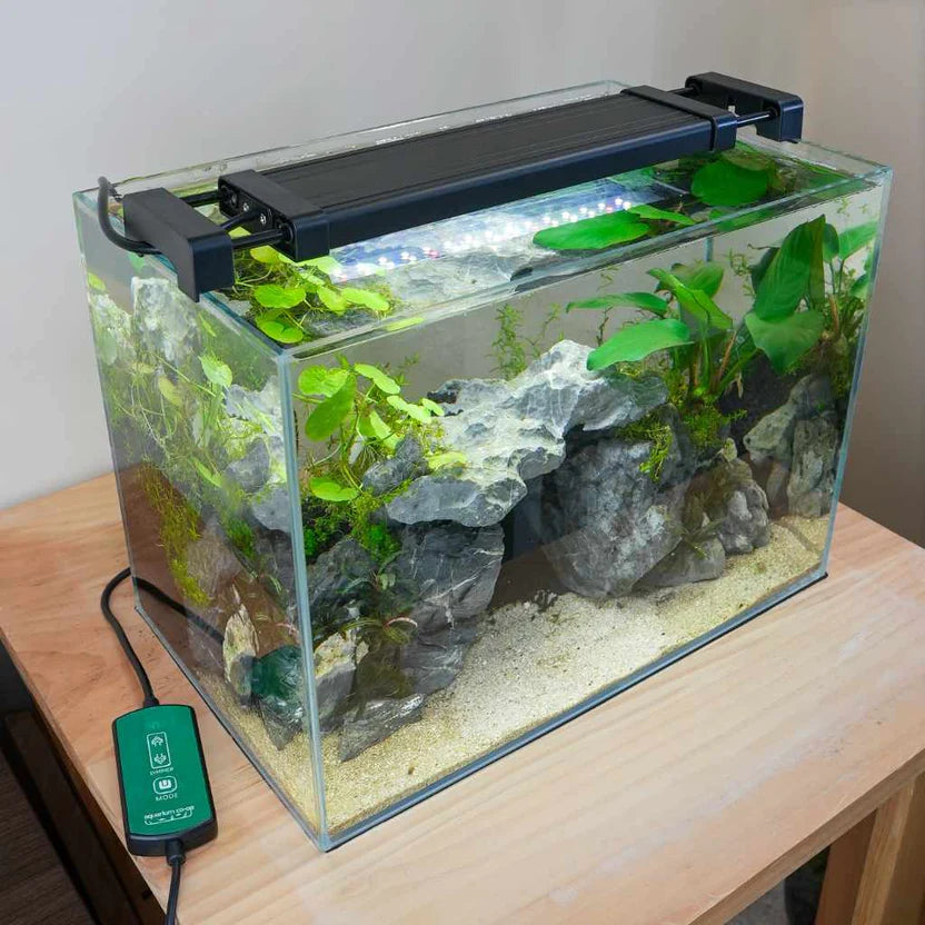 Top 10 Holiday Gift Ideas for Your Favorite Fish Keeper – Aquarium