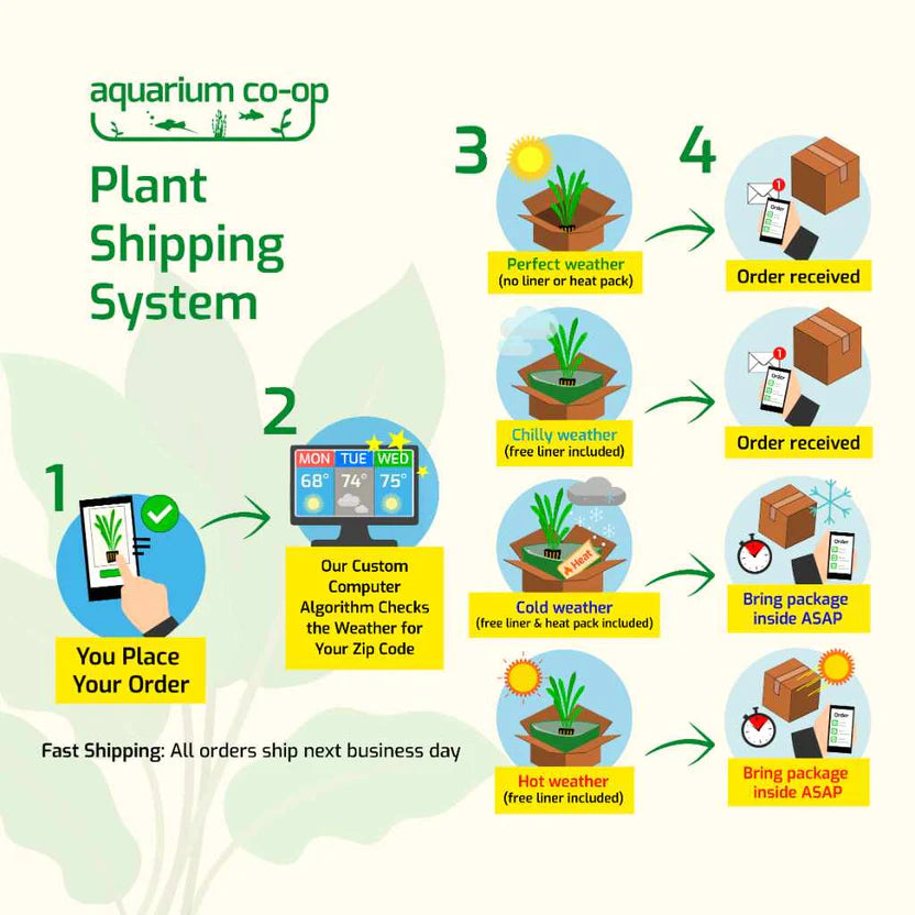 Plant shipping system