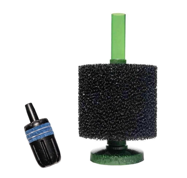 sponge filter with air stone