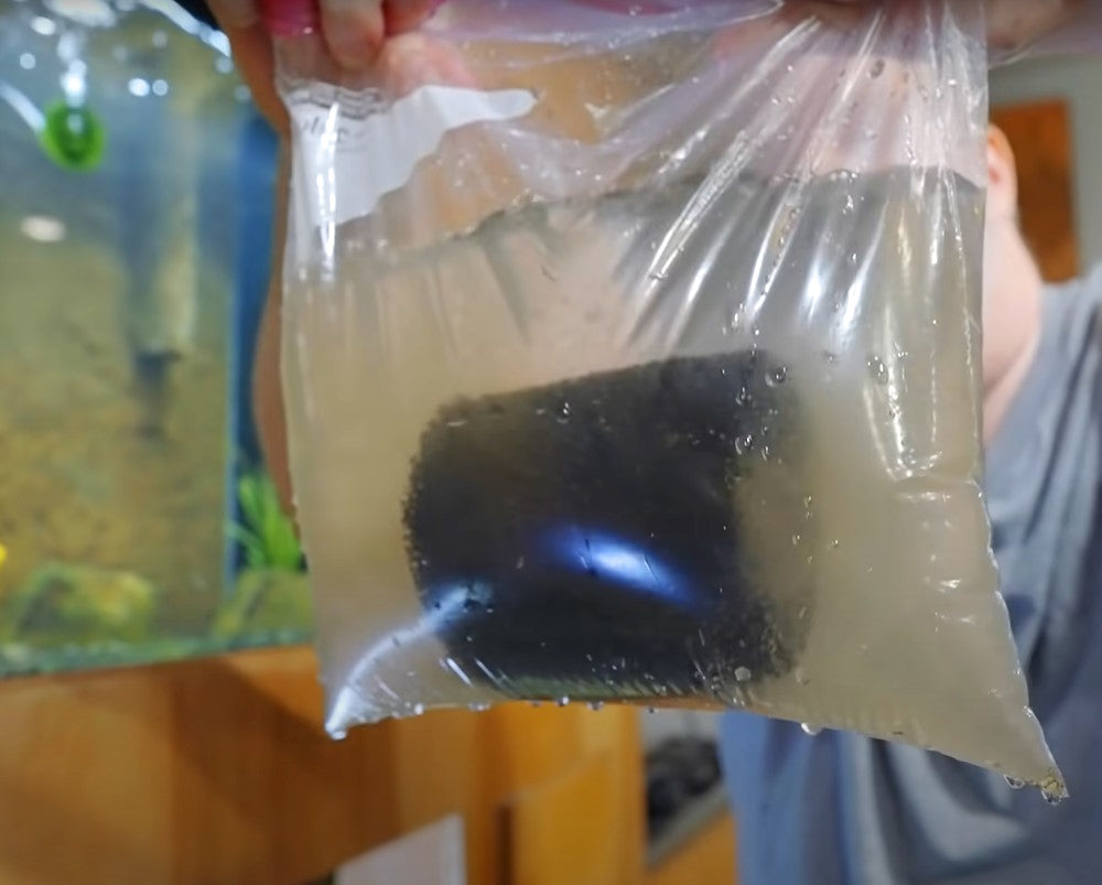 sponge filter in bag