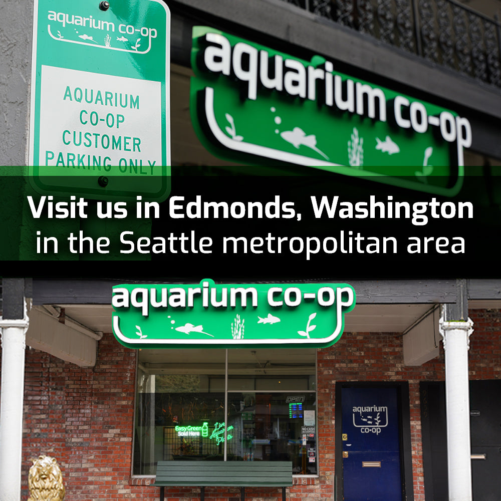 Visit Aquarium Co-Op retail store