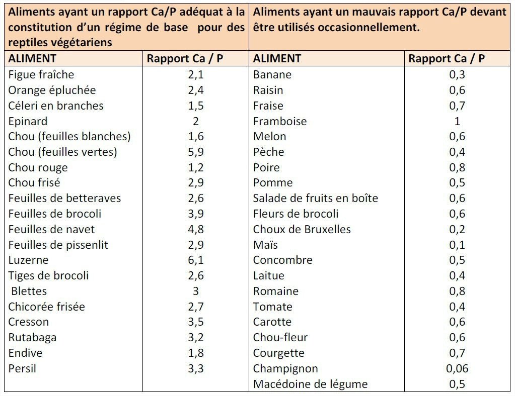 LISTE DE NOURRITURE TORTUES TERRESTRES  Nourriture tortue terrestre, Alimentation  tortue, Tortues terrestres