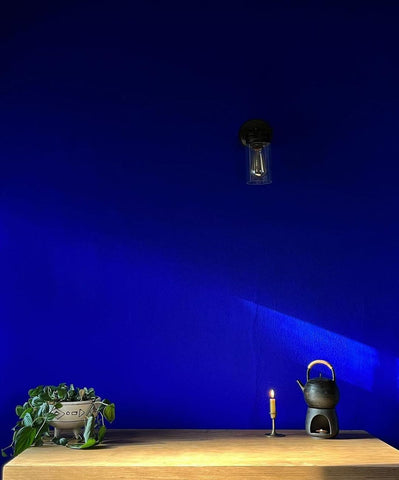 Blue wall and wooden table with plant on top of it