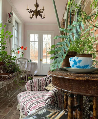 Bohemian style room decorated with plants