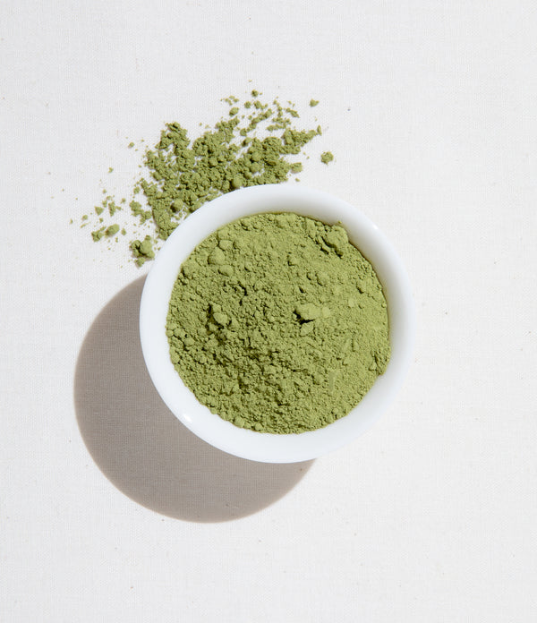 Matcha at Home Kit – Santé Matcha