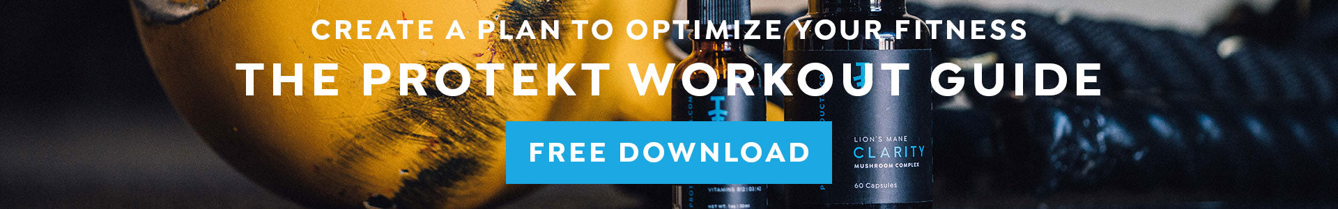 Download The Protekt Workout Guide