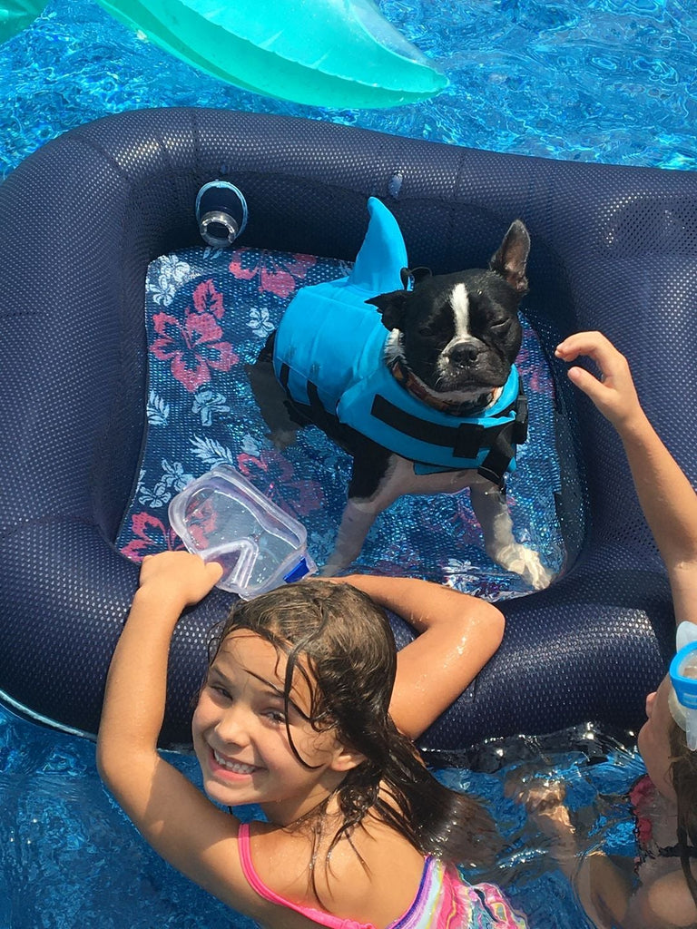 Shark Dog Life Vest