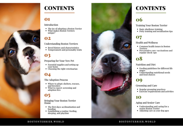 Boston Terrier Ebook Content