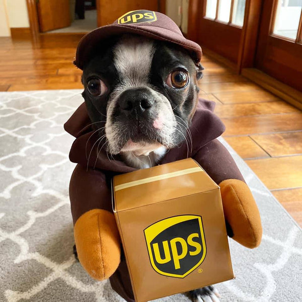 UPS Dog Costume