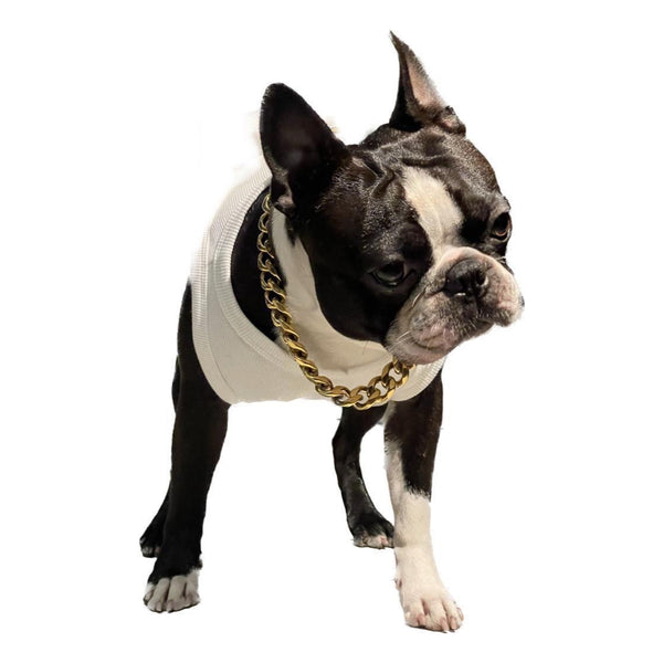 Dog Chain Collar