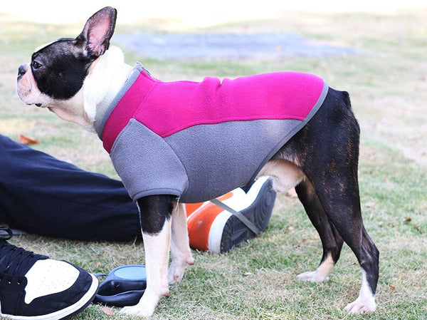 Warm Fleece Boston Terrier Dog Sweater - Fushia 2