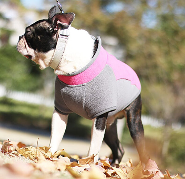 Warm Fleece Boston Terrier Dog Sweater - Fushia