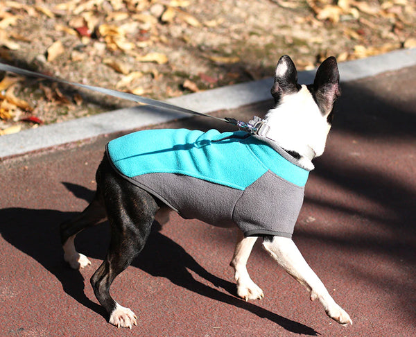 Warm Fleece Boston Terrier Dog Sweater - Turquoise 2