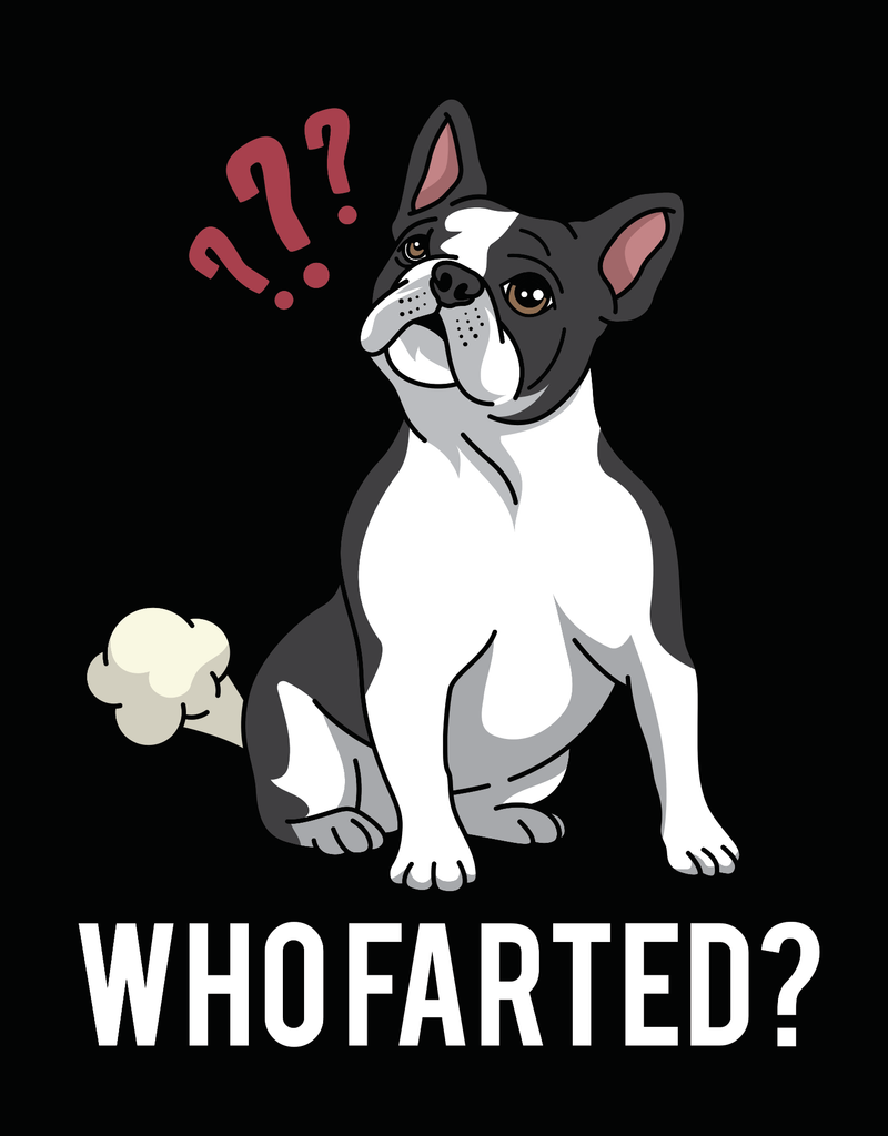 Who Farted ??? Boston Terrier