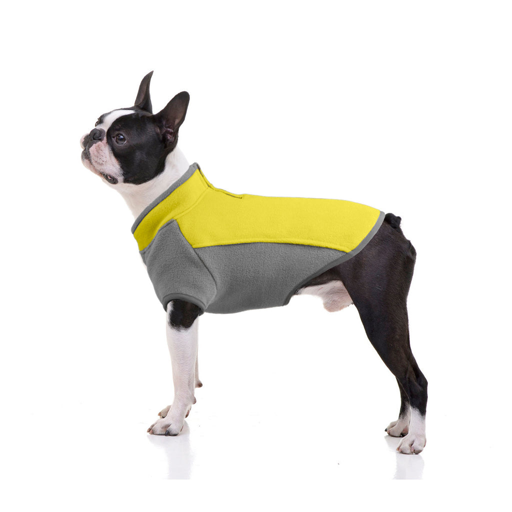 boston terrier winter jacket