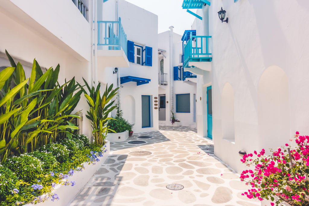 Charming Santorini streetscape with white-washed walls and blooming flora.