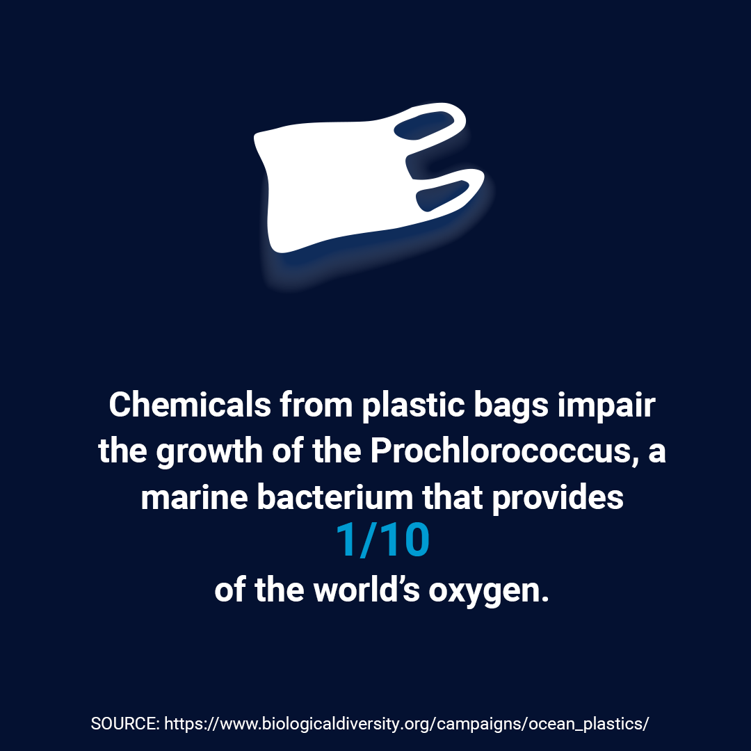 plastic bags environmental impact