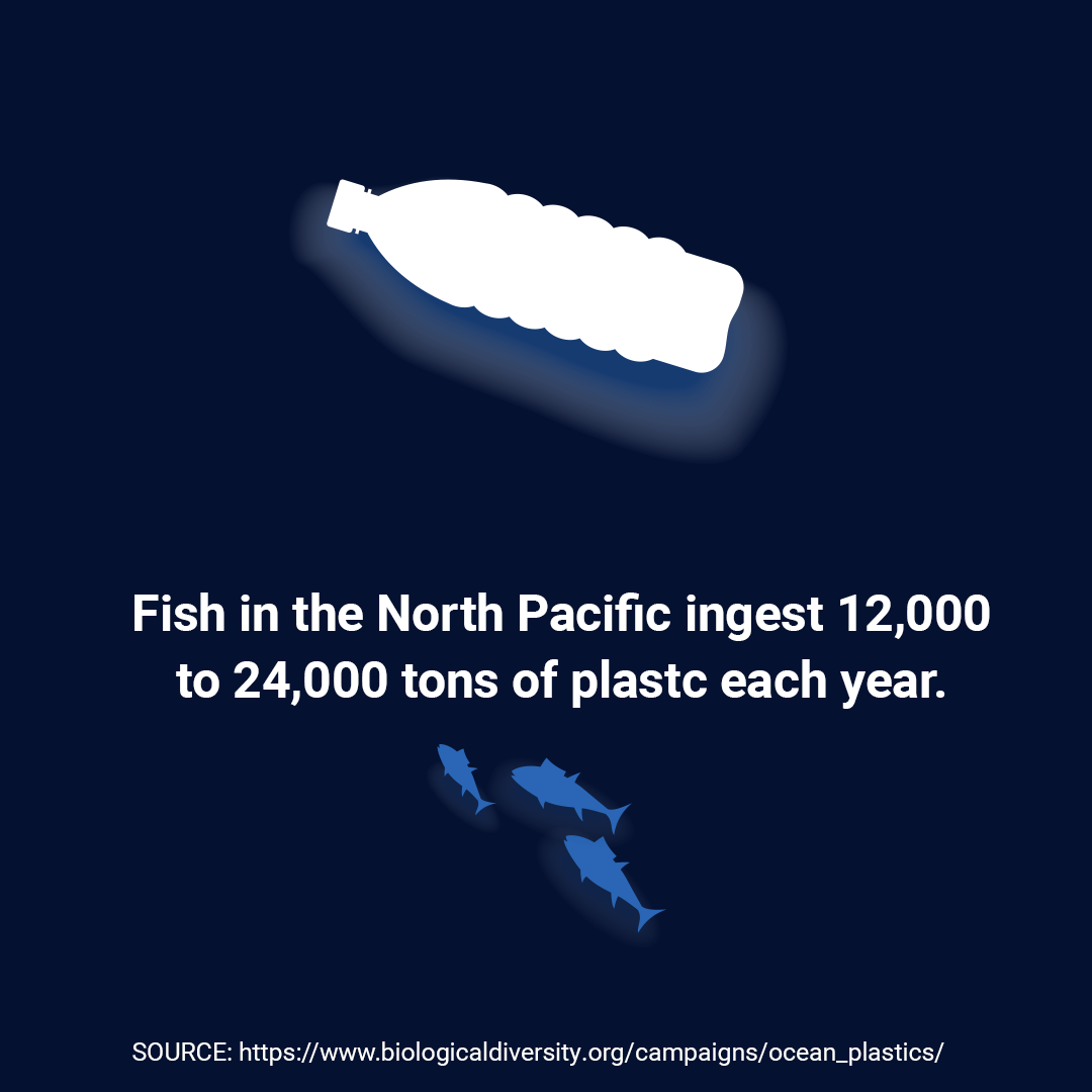 plastic bottles environmental impact