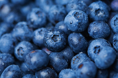 Blueberry Extract 