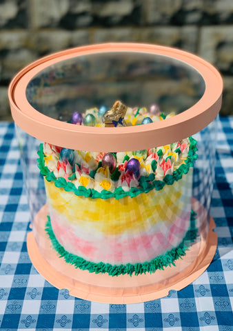 multicolor bunny cake in short clear box