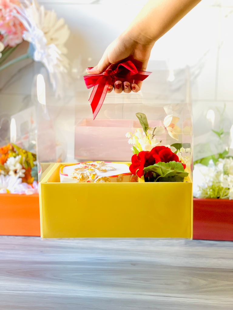 Cakesicle Popsicle Clear Boxes - Clear Cake Pop Box