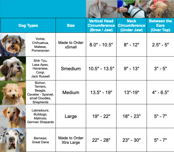 PAWNIX Size Chart