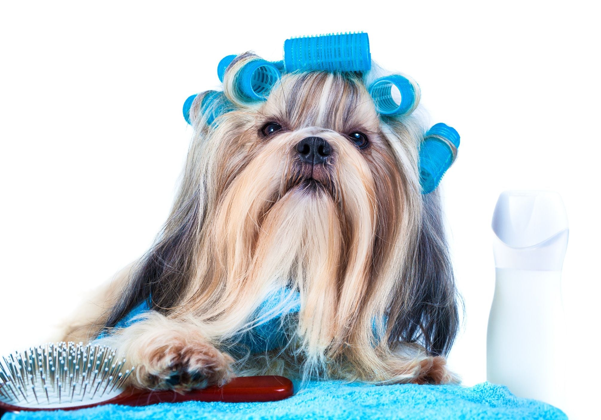 what products do groomers use on dogs