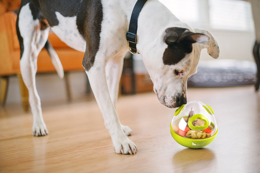 The Wobble Ball Interactive Treat Toy from P.L.A.Y.