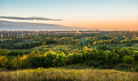 Rouge National Park