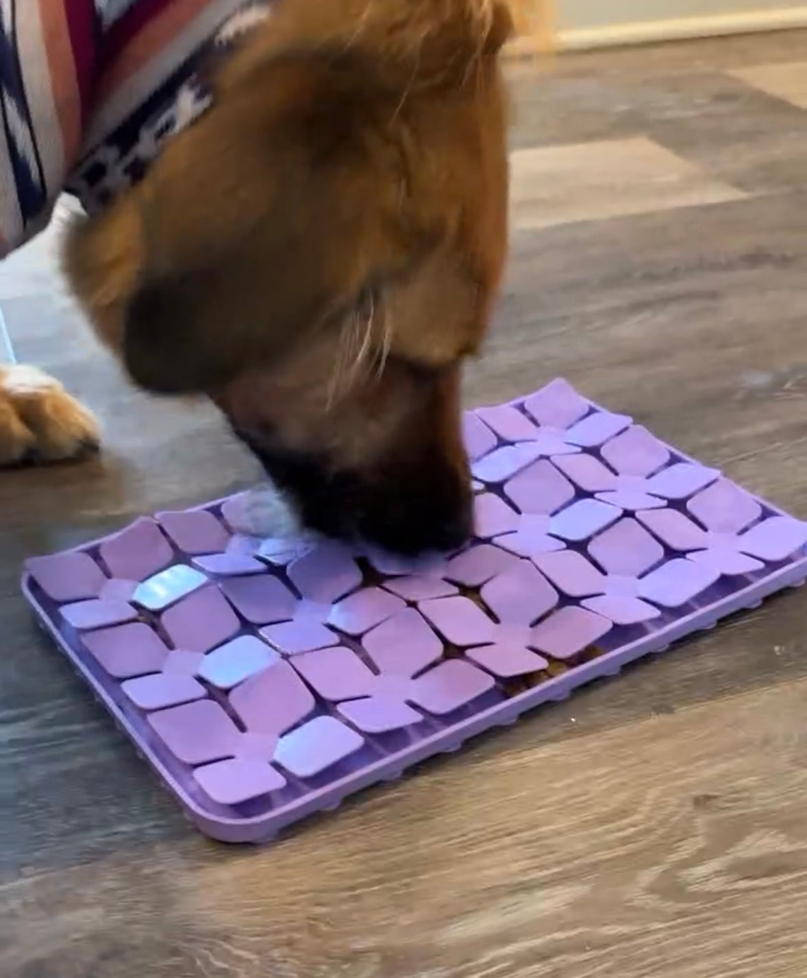 Puzzle Feeder Snuffle Mat for Dogs, Lick Mat for Dogs to Slow Down