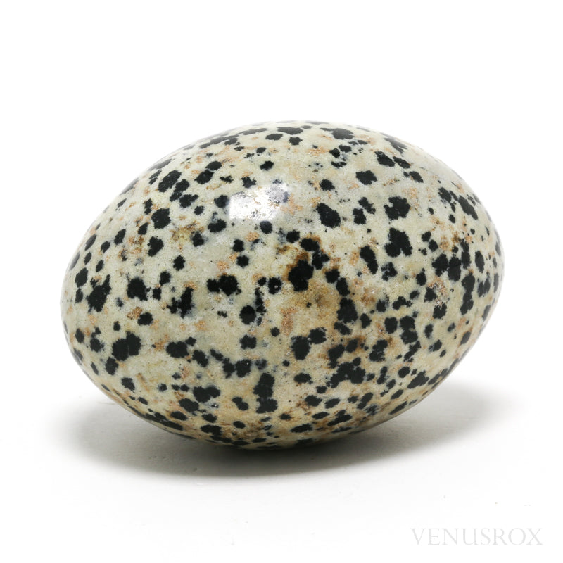 polished dalmation jasper