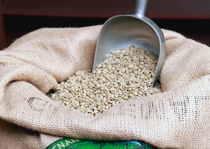 green coffee beans from Guatemala in coffee bag with scoop