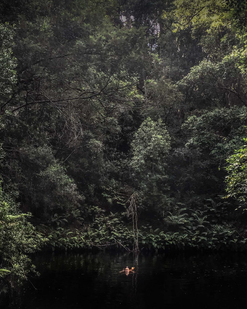 Deep Forest - Knysna. - kerimuller.com