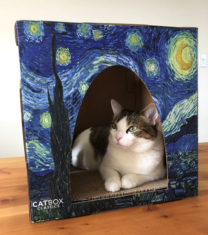 Beautiful brown and white cat using the furry masterpieces cardboard cat house to relax and calm down