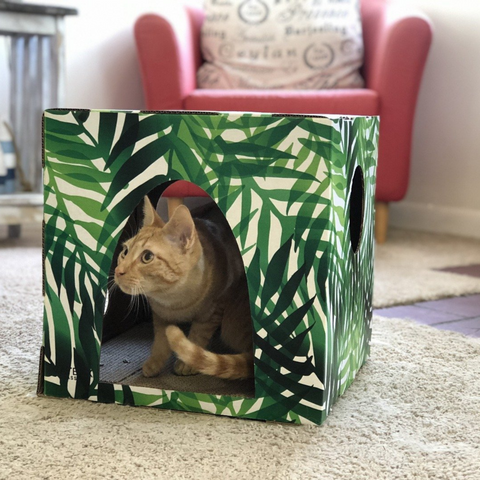 Orange tabby cat inside Kitty Jungle Cardboard Cat House