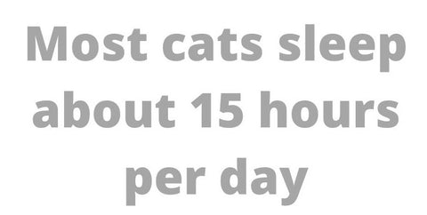 Most cats sleep 15 hours per day quotation