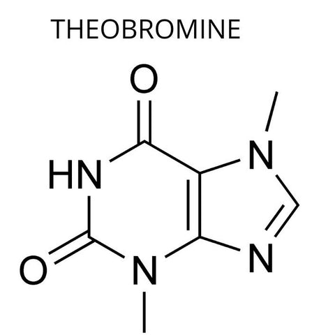 Chemical breakdown of theobromine, which is one of the reason chocolate is bad for cats