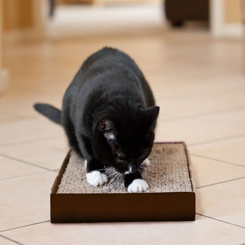 Black and white cat scratching a DIY cardboard cat scratcher