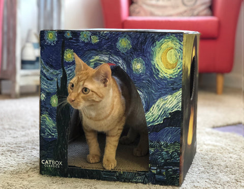 An orange tabby cat inside the furry masterpieces cardboard cat house.