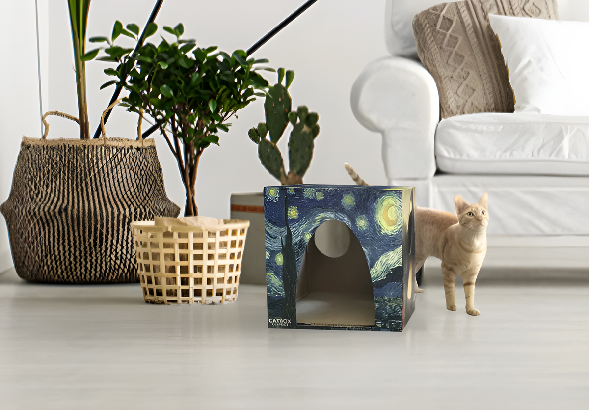 Kitten next to Purrfect Oasis Cardboard Cat House