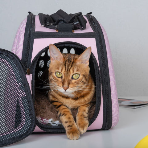 Orange tabby cat in pink cat carrier